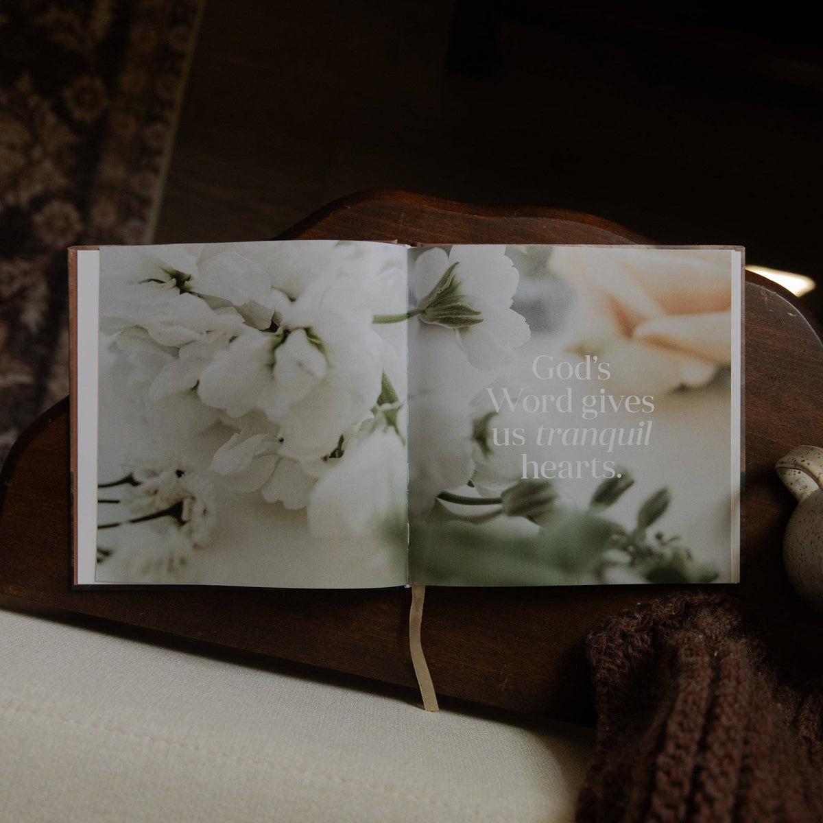 Satisfied | A 60-Day Devotional